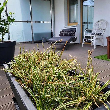 Miodowy Dom Exspanse Apartament 2 Lub 3 Pokoje Z Tarasem I Parkingiem Колобжег Экстерьер фото